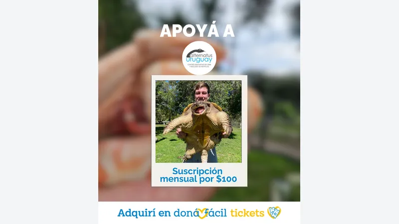Imagen de ticket: Suscripción Mensual $100
