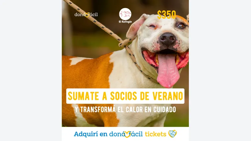 Imagen de ticket: Socios de verano - APA El Refugio - $350