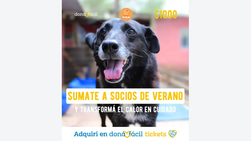 Imagen de ticket: Socios de verano - Refugio PGA - $1000