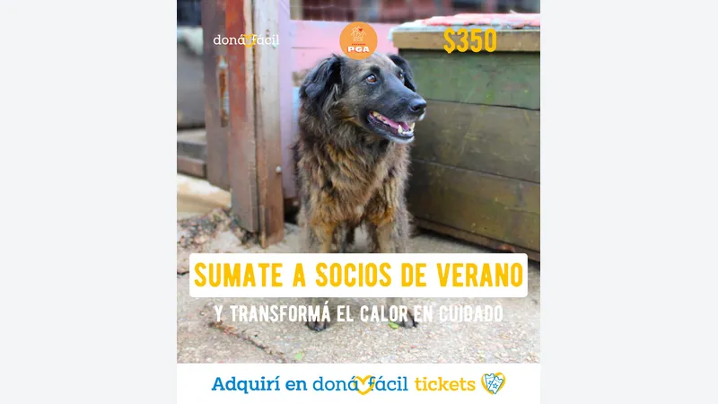 Imagen de ticket: Socios de verano - Refugio PGA - $350