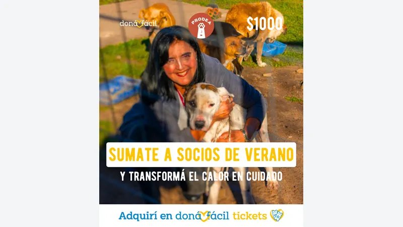 Imagen de ticket: Socios de verano - PRODEA - $1000
