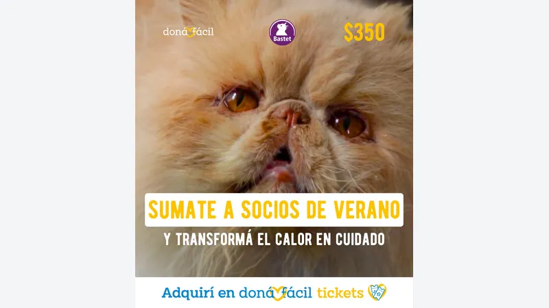 Imagen de ticket: Socios de verano - Bastet - $350