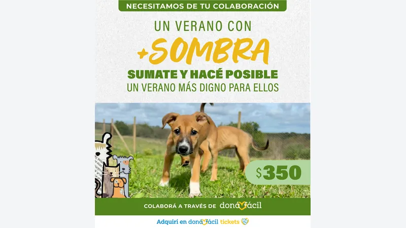 Imagen de ticket: Socios de verano - Cero Callejero - $350