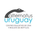 Logo de ALTERNATUS URUGUAY Logo de ALTERNATUS URUGUAY
