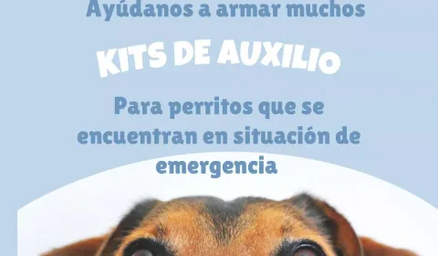 Ayúdanos a armar y repartir más kits de auxilio Ayúdanos a armar y repartir más kits de auxilio
