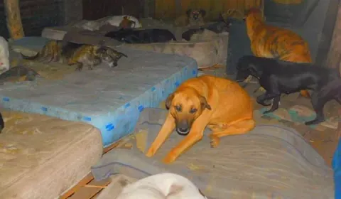 Ayúdanos a seguir recuperando vidas Ayúdanos a seguir recuperando vidas