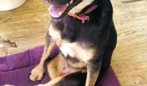 Restaurando salud y libertad: apoyá la recuperación de Atila y Eduardito Restaurando salud y libertad: apoyá la recuperación de Atila y Eduardito