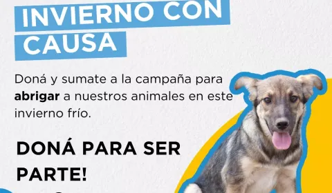 INVIERNO CON CAUSA 2025- Fundación Cero Callejero