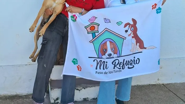 Abogar por el cambio: cómo involucrarse en causas sociales